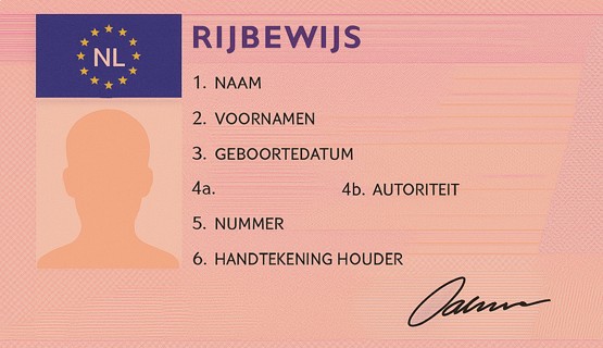 Wat moet ik doen als mijn rijbewijs is gestolen of als ik hem heb verloren?